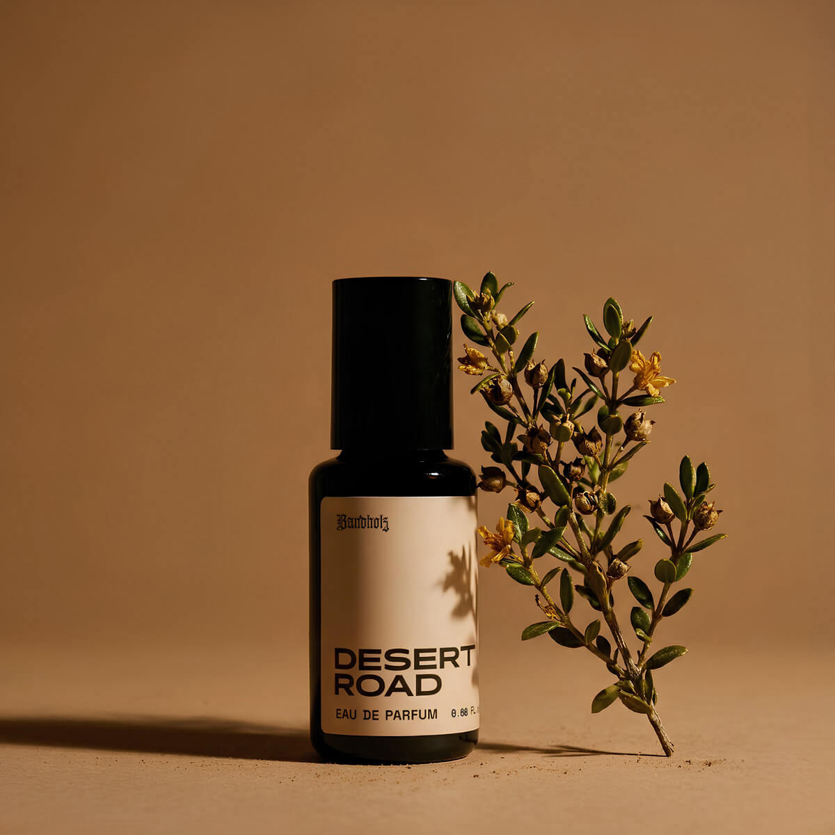 Desert Road Eau de Parfum bottle by Bandholz set against a warm sand-colored background with a desert plant branch beside it. Image evokes a dry, rugged fragrance with notes of petrol, desert shrubs, leather, and baked earth.