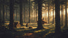 Woodland scene with a person and wooden structures, bathed in soft light filtering through trees.